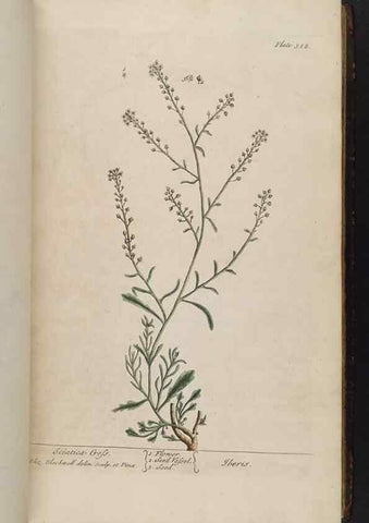 Reproducción/Reproduction 8361120465: A curious herbal. London : Printed for Samuel Harding, 1737-1739.