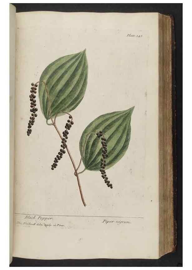 Reproducción/Reproduction 8362191610: A curious herbal. London : Printed for Samuel Harding, 1737-1739.