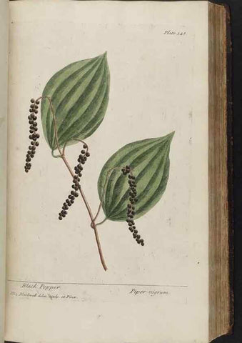 Reproducción/Reproduction 8362191610: A curious herbal. London : Printed for Samuel Harding, 1737-1739.