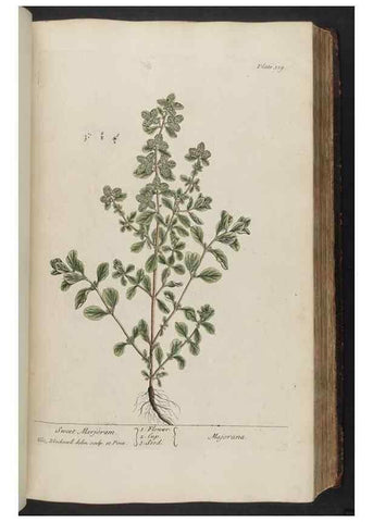 Reproducción/Reproduction 8361121775: A curious herbal. London : Printed for Samuel Harding, 1737-1739.