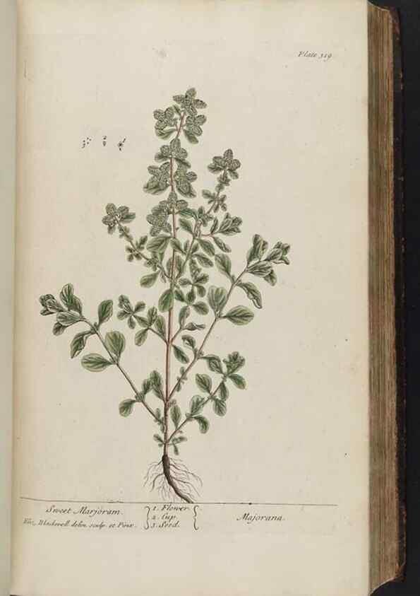 Reproducción/Reproduction 8361121775: A curious herbal. London : Printed for Samuel Harding, 1737-1739.