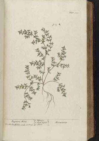 Reproducción/Reproduction 8362183514: A curious herbal. London : Printed for Samuel Harding, 1737-1739.