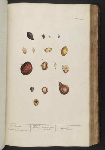 Reproducción/Reproduction 8361143707: A curious herbal. London : Printed for Samuel Harding, 1737-1739.