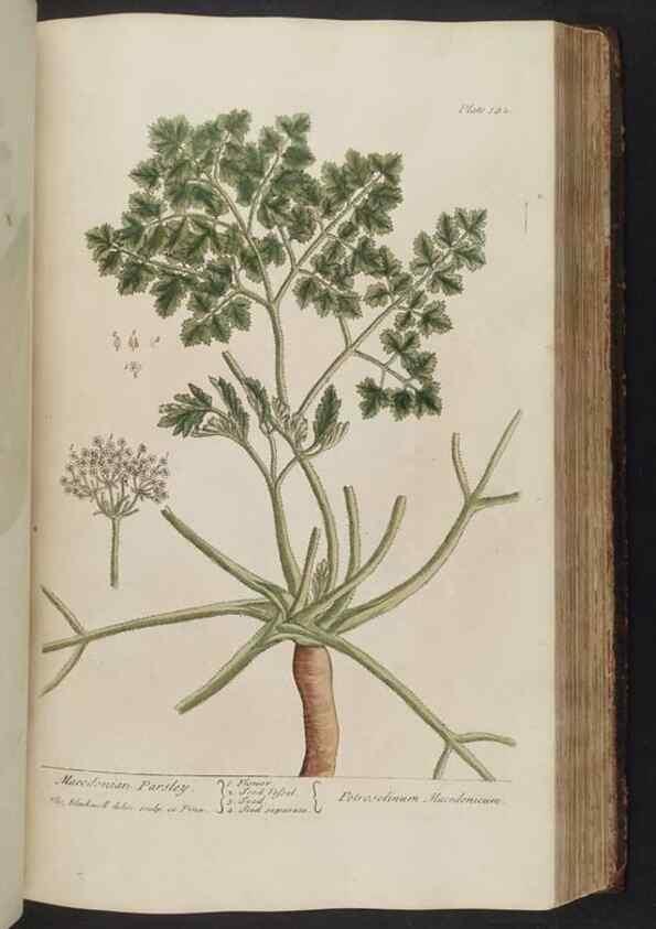 Reproducción/Reproduction 8361139139: A curious herbal. London : Printed for Samuel Harding, 1737-1739.