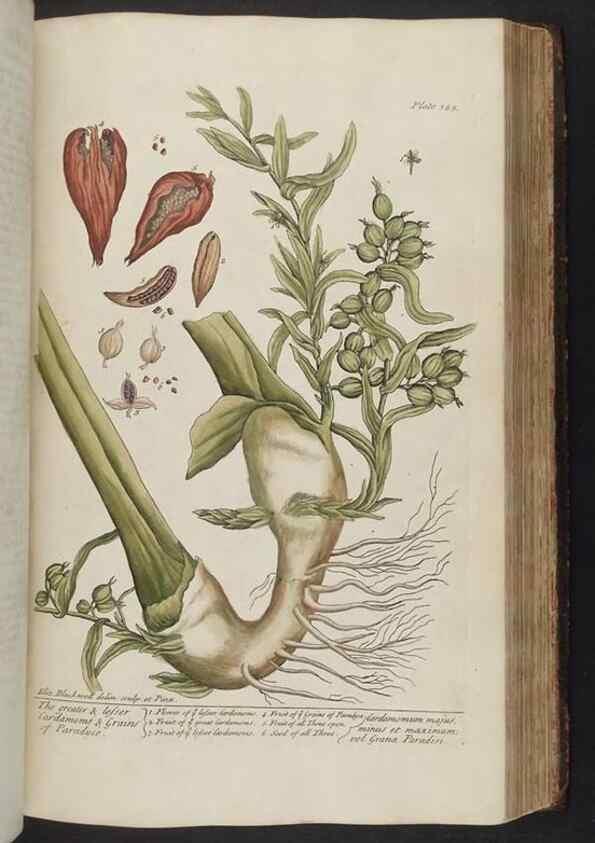 Reproducción/Reproduction 8362201254: A curious herbal. London : Printed for Samuel Harding, 1737-1739.