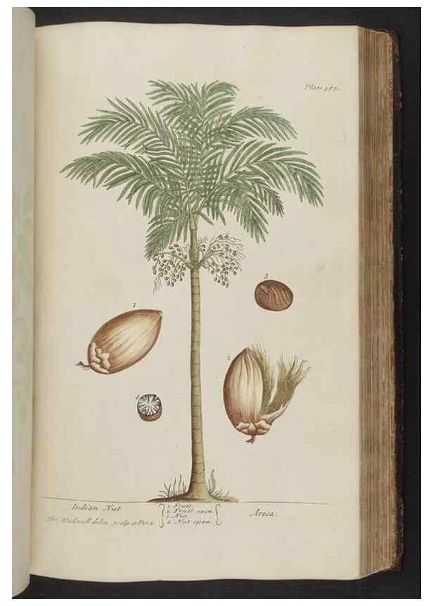 Reproducción/Reproduction 8361140191: A curious herbal. London : Printed for Samuel Harding, 1737-1739.