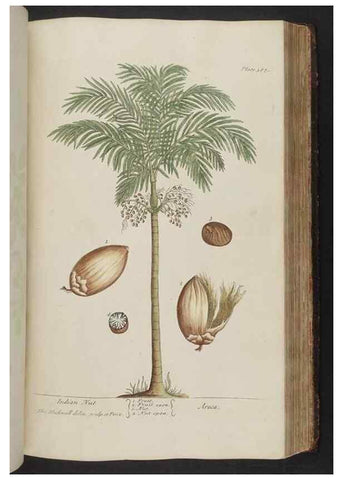 Reproducción/Reproduction 8361140191: A curious herbal. London : Printed for Samuel Harding, 1737-1739.