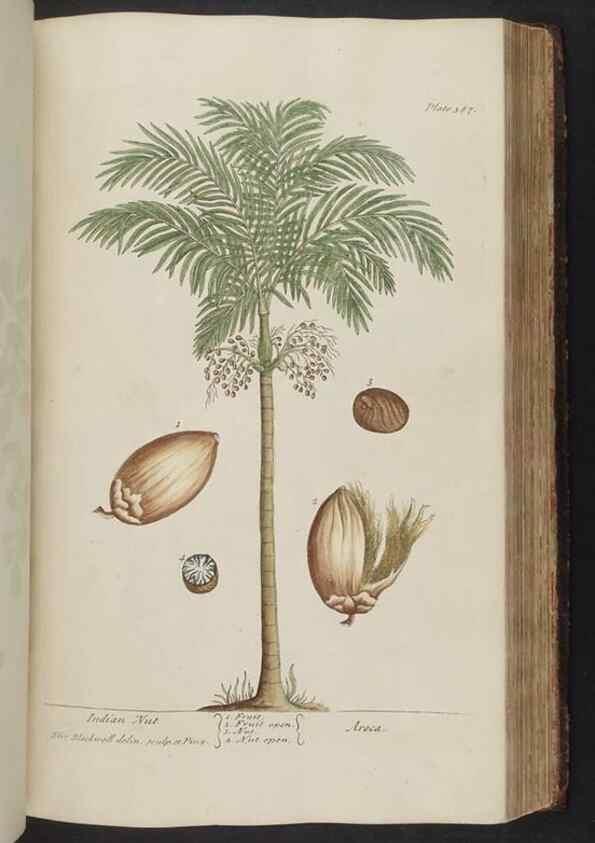 Reproducción/Reproduction 8361140191: A curious herbal. London : Printed for Samuel Harding, 1737-1739.