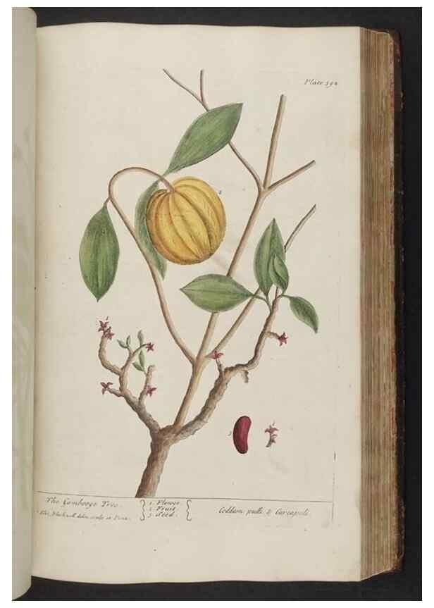 Reproducción/Reproduction 8361141589: A curious herbal. London : Printed for Samuel Harding, 1737-1739.