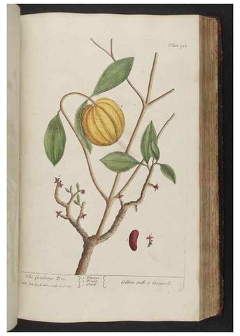 Reproducción/Reproduction 8361141589: A curious herbal. London : Printed for Samuel Harding, 1737-1739.