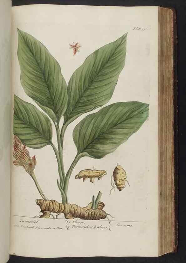Reproducción/Reproduction 8361142355: A curious herbal. London : Printed for Samuel Harding, 1737-1739.