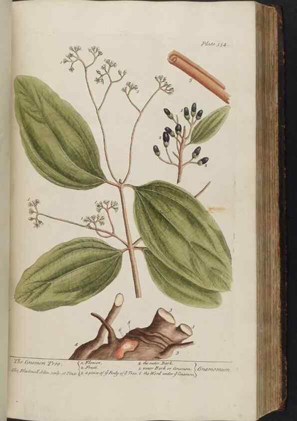 Reproducción/Reproduction 8361131445: A curious herbal. London : Printed for Samuel Harding, 1737-1739.