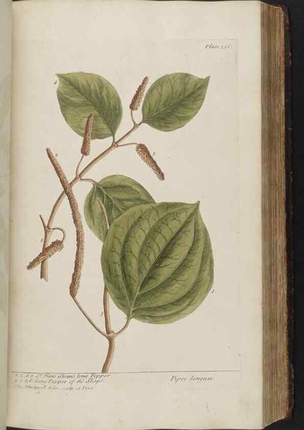 Reproducción/Reproduction 8361132309: A curious herbal. London : Printed for Samuel Harding, 1737-1739.