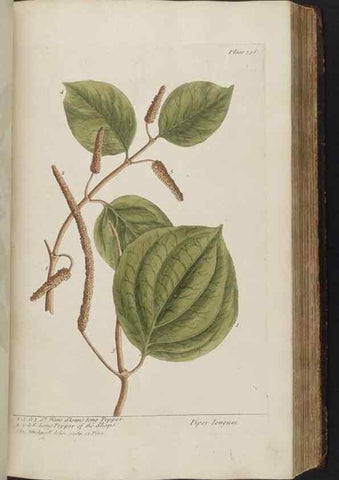Reproducción/Reproduction 8361132309: A curious herbal. London : Printed for Samuel Harding, 1737-1739.