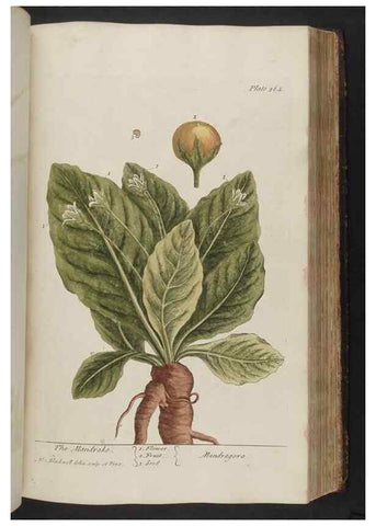 Reproducción/Reproduction 8361134491: A curious herbal. London : Printed for Samuel Harding, 1737-1739.