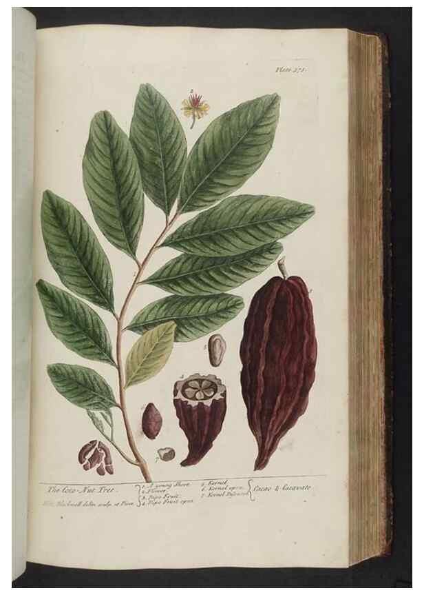 Reproducción/Reproduction 8361136837: A curious herbal. London : Printed for Samuel Harding, 1737-1739.