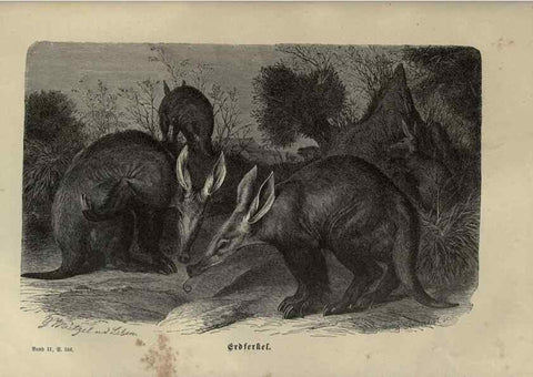 Reproducción/Reproduction 8345997553: Brehms thierleben, allgemeine kunde des thierreichs.. Leipzig :Verlag des Bibliographischen instituts,1876-1879.