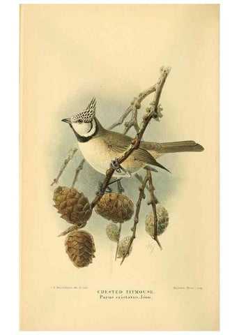 Reproducción/Reproduction 8290259637: Coloured figures of the birds of the British Islands / issued by Lord Lilford.. London :R. H. Porter,1885-1897.