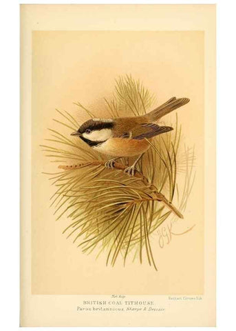 Reproducción/Reproduction 8291317400: Coloured figures of the birds of the British Islands / issued by Lord Lilford.. London :R. H. Porter,1885-1897.