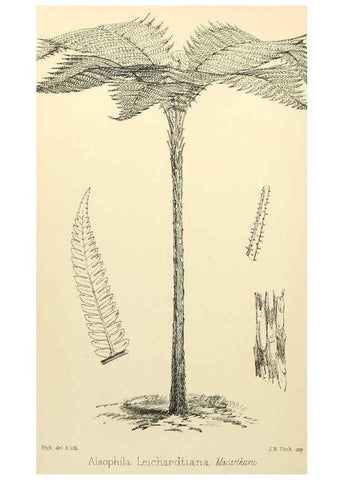 Reproducción/Reproduction 8288864106: The florist and pomologist.. London :""Journal of Horticulture"" Office,1863-1879.