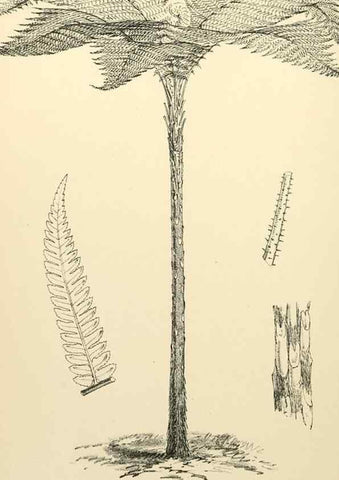 Reproducción/Reproduction 8288864106: The florist and pomologist.. London :""Journal of Horticulture"" Office,1863-1879.