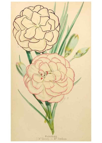 Reproducción/Reproduction 8288851044: The florist and pomologist.. London :""Journal of Horticulture"" Office,1863-1879.