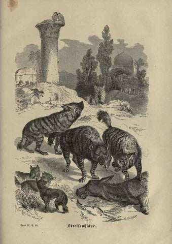 Reproducción/Reproduction 8347044430: Brehms thierleben, allgemeine kunde des thierreichs.. Leipzig :Verlag des Bibliographischen instituts,1876-1879.