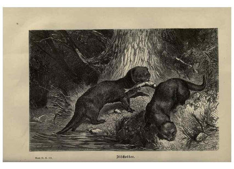 Reproducción/Reproduction 8347045574: Brehms thierleben, allgemeine kunde des thierreichs.. Leipzig :Verlag des Bibliographischen instituts,1876-1879.