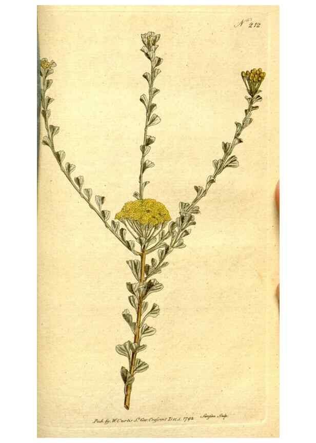Reproducción/Reproduction 8559518439: The Botanical magazine, or, Flower-garden displayed ... /. [S.l. :s.n.],1790-1800 ;