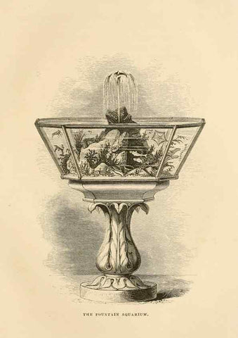 Reproducción/Reproduction 8536066843: The aquarium: an unveiling of the wonders of the deep sea.. London,J. Van Voorst,1856.