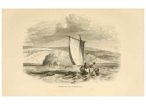 Reproducción/Reproduction 8536062063: The aquarium: an unveiling of the wonders of the deep sea.. London,J. Van Voorst,1856.