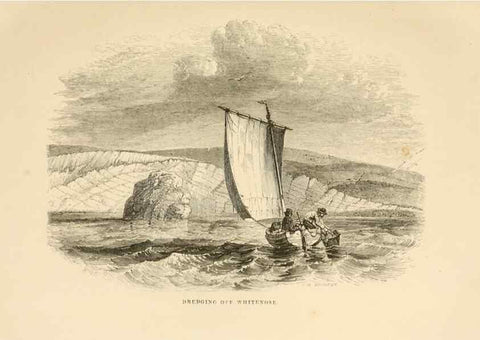 Reproducción/Reproduction 8536062063: The aquarium: an unveiling of the wonders of the deep sea.. London,J. Van Voorst,1856.