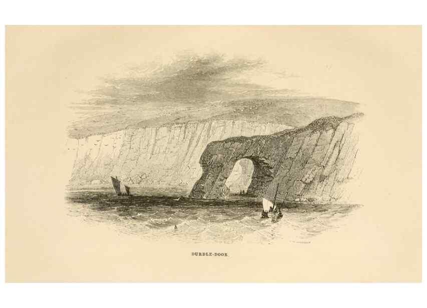 Reproducción/Reproduction 8537168866: The aquarium: an unveiling of the wonders of the deep sea.. London,J. Van Voorst,1856.