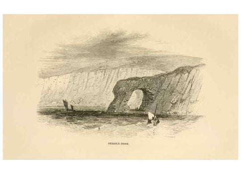 Reproducción/Reproduction 8537168866: The aquarium: an unveiling of the wonders of the deep sea.. London,J. Van Voorst,1856.