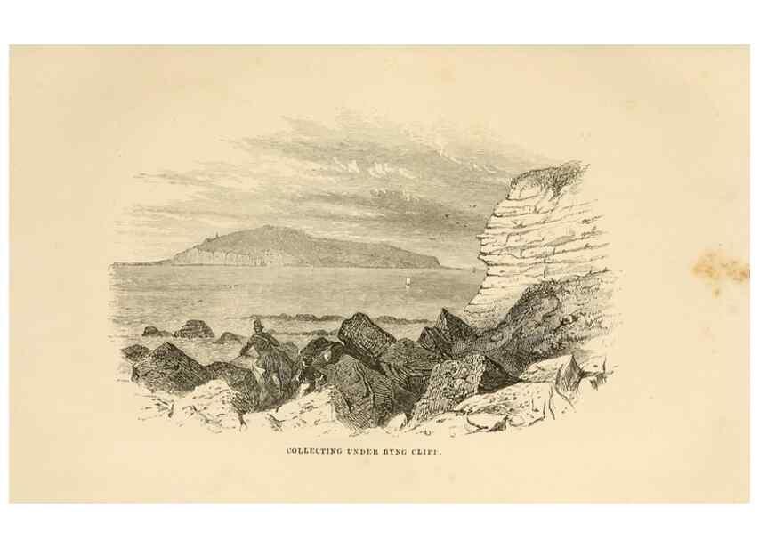 Reproducción/Reproduction 8537164528: The aquarium: an unveiling of the wonders of the deep sea.. London,J. Van Voorst,1856.