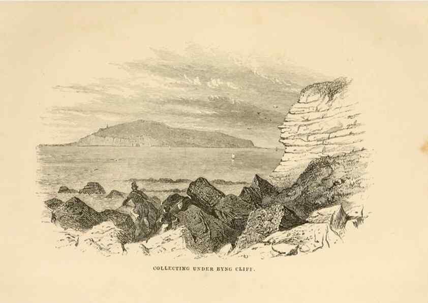 Reproducción/Reproduction 8537164528: The aquarium: an unveiling of the wonders of the deep sea.. London,J. Van Voorst,1856.