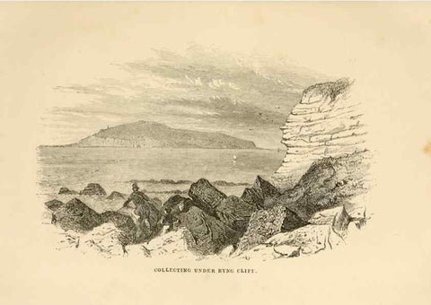 Reproducción/Reproduction 8537164528: The aquarium: an unveiling of the wonders of the deep sea.. London,J. Van Voorst,1856.