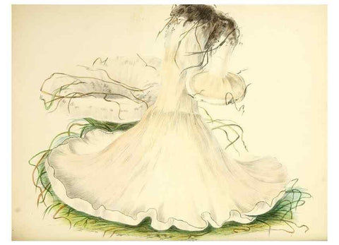 Reproducción/Reproduction 8618324193: Illustrations of British mycology,. London,Reeve, Benham and Reeve,1847-55.