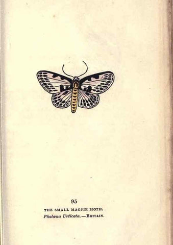 Reproducción/Reproduction 8716634883: The book of butterflies, sphinxes and moths;. London,Whittaker,1832-34.
