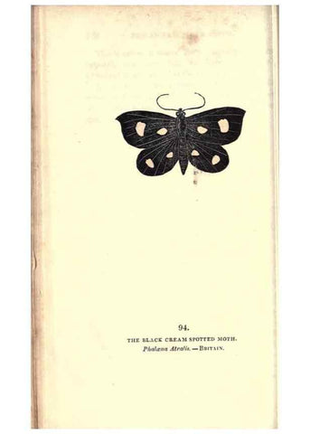 Reproducción/Reproduction 8716634585: The book of butterflies, sphinxes and moths;. London,Whittaker,1832-34.