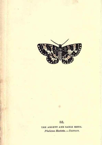 Reproducción/Reproduction 8716630943: The book of butterflies, sphinxes and moths;. London,Whittaker,1832-34.