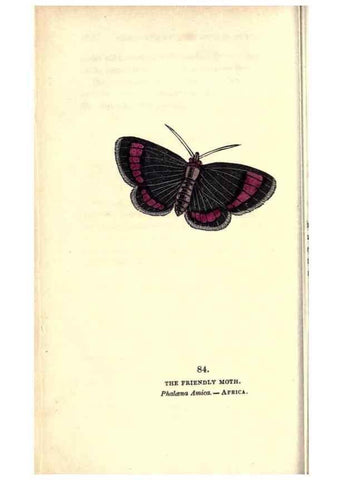 Reproducción/Reproduction 8716631275: The book of butterflies, sphinxes and moths;. London,Whittaker,1832-34.
