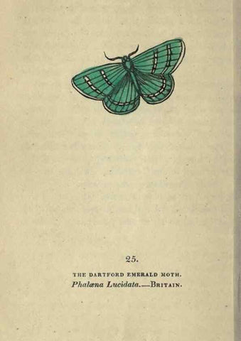 Reproducción/Reproduction 8716661289: The book of butterflies, sphinxes and moths;. London,Whittaker,1832-34.