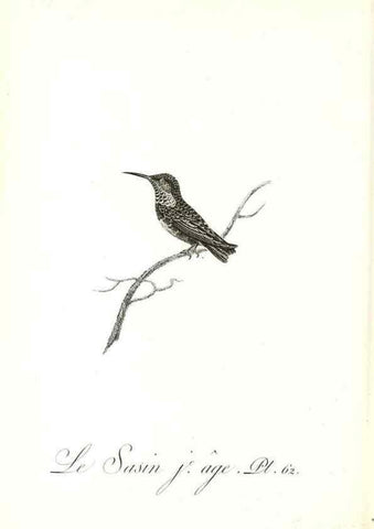 Reproducción/Reproduction 8596849375: Histoire naturelle et générale des colibris, oiseaux-mouches, jacamars et promerops /. A Paris,chez Desray,an XI=1802.