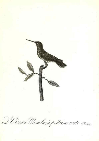 Reproducción/Reproduction 8597948960: Histoire naturelle et générale des colibris, oiseaux-mouches, jacamars et promerops /. A Paris,chez Desray,an XI=1802.