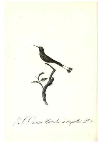 Reproducción/Reproduction 8597950712: Histoire naturelle et générale des colibris, oiseaux-mouches, jacamars et promerops /. A Paris,chez Desray,an XI=1802.