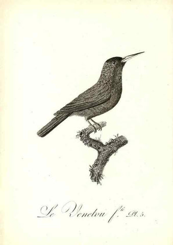 Reproducción/Reproduction 8597956658: Histoire naturelle et générale des colibris, oiseaux-mouches, jacamars et promerops /. A Paris,chez Desray,an XI=1802.