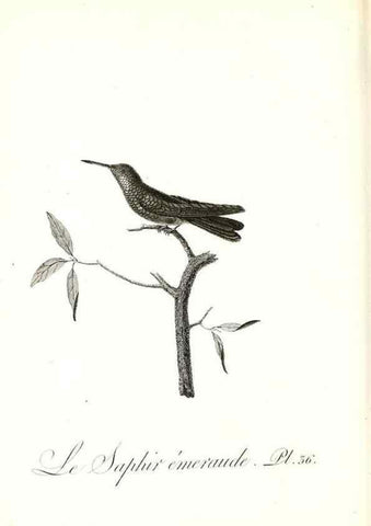 Reproducción/Reproduction 8597946964: Histoire naturelle et générale des colibris, oiseaux-mouches, jacamars et promerops /. A Paris,chez Desray,an XI=1802.