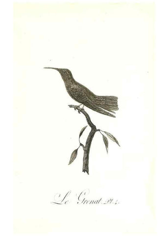 Reproducción/Reproduction 8597937522: Histoire naturelle et générale des colibris, oiseaux-mouches, jacamars et promerops /. A Paris,chez Desray,an XI=1802.