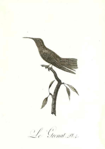 Reproducción/Reproduction 8597937522: Histoire naturelle et générale des colibris, oiseaux-mouches, jacamars et promerops /. A Paris,chez Desray,an XI=1802.
